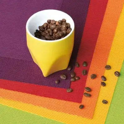 Tischset Platzset Rot ASA 33 x 46 cm – Bild 2